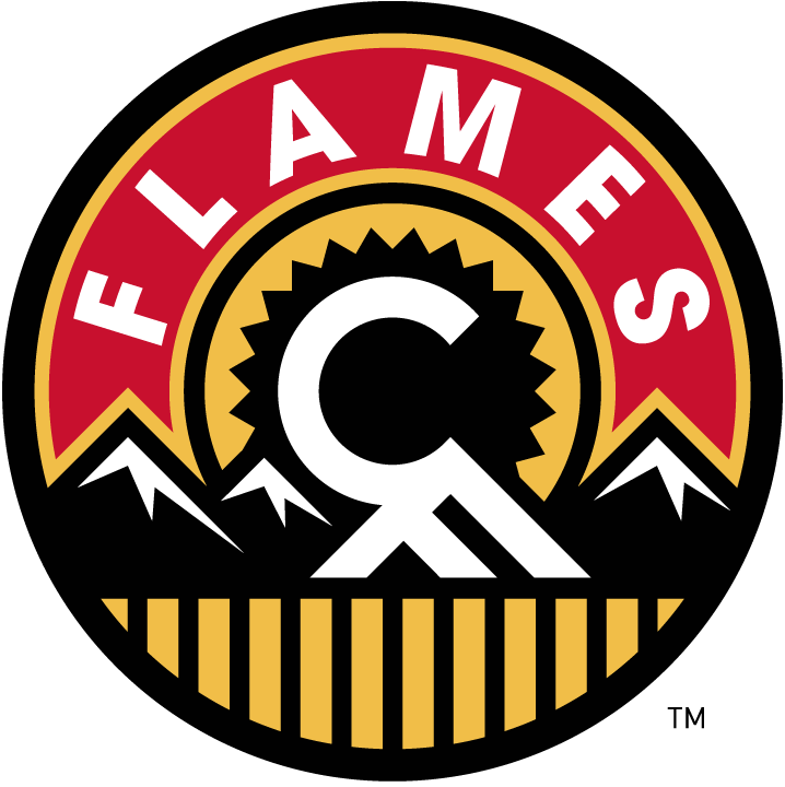 Calgary Flames 2013-2016 Alternate Logo t shirts DIY iron ons